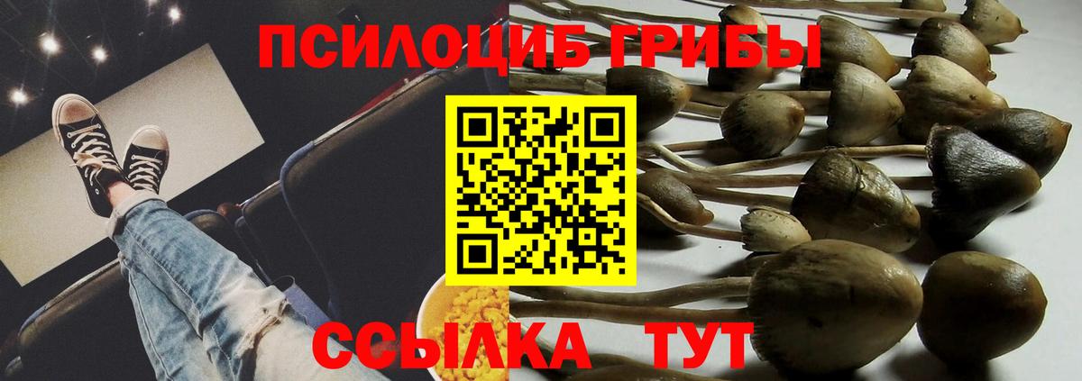 Псилоцибиновые грибы Cubensis  Галлюциногенные грибы ЛСД  Лосино-Петровский  Вход с VPN 